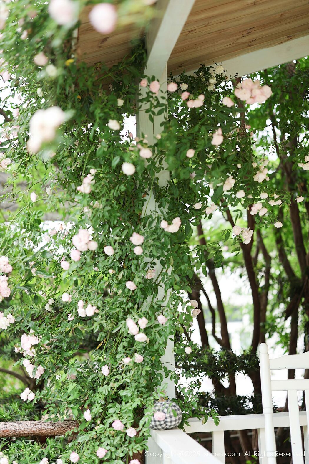 XiuRen秀人网 No.10215 Kiko Mogi (83P)