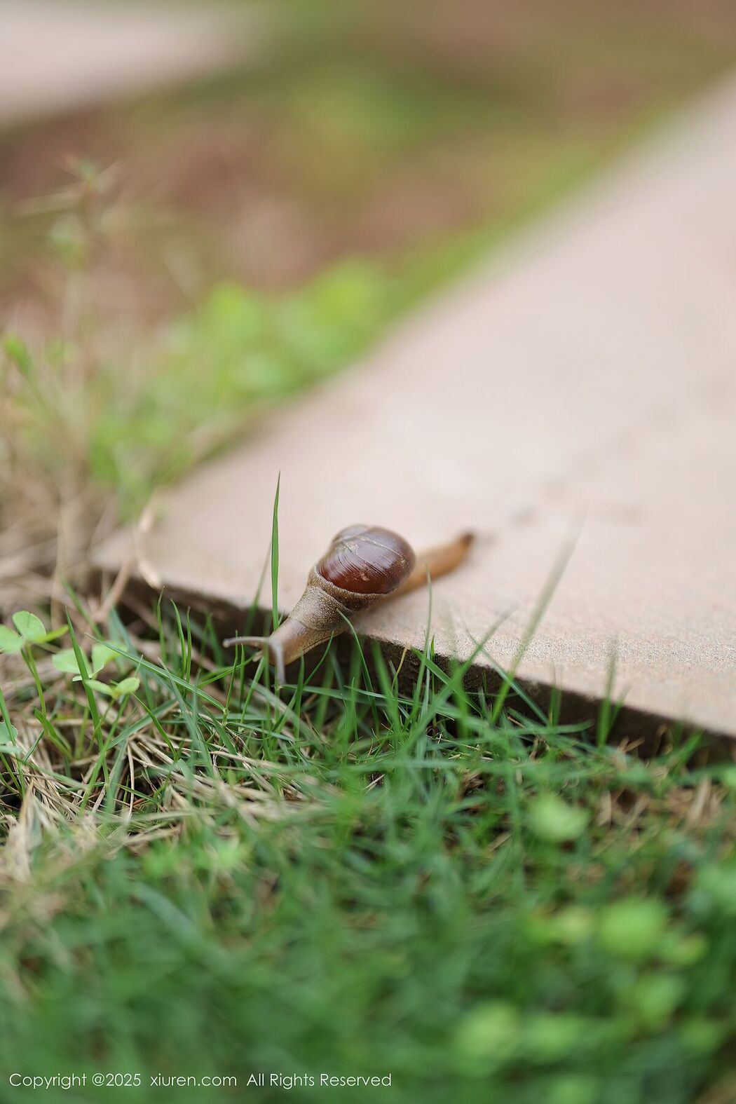 XiuRen秀人网 No.10215 Kiko Mogi (83P)