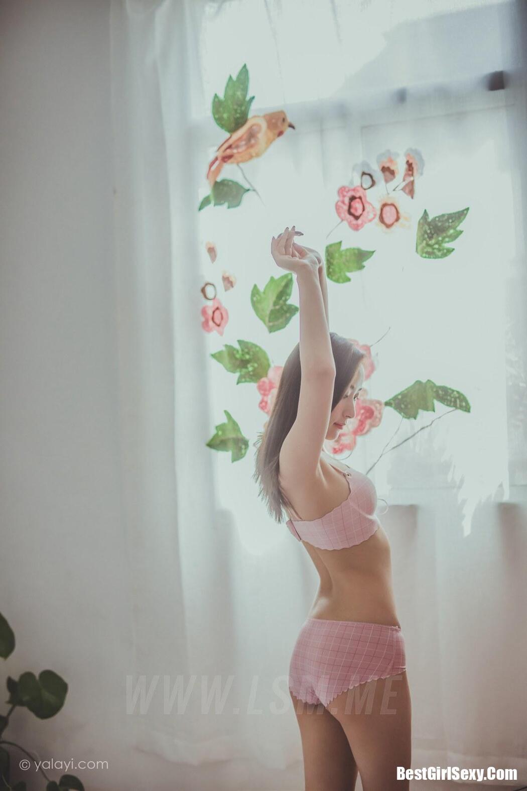 YALAYI Vol.664 Begonia Let’s Get Together