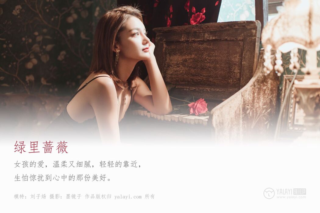 YALAYI Vol.519 Rose in Green Cover Photo