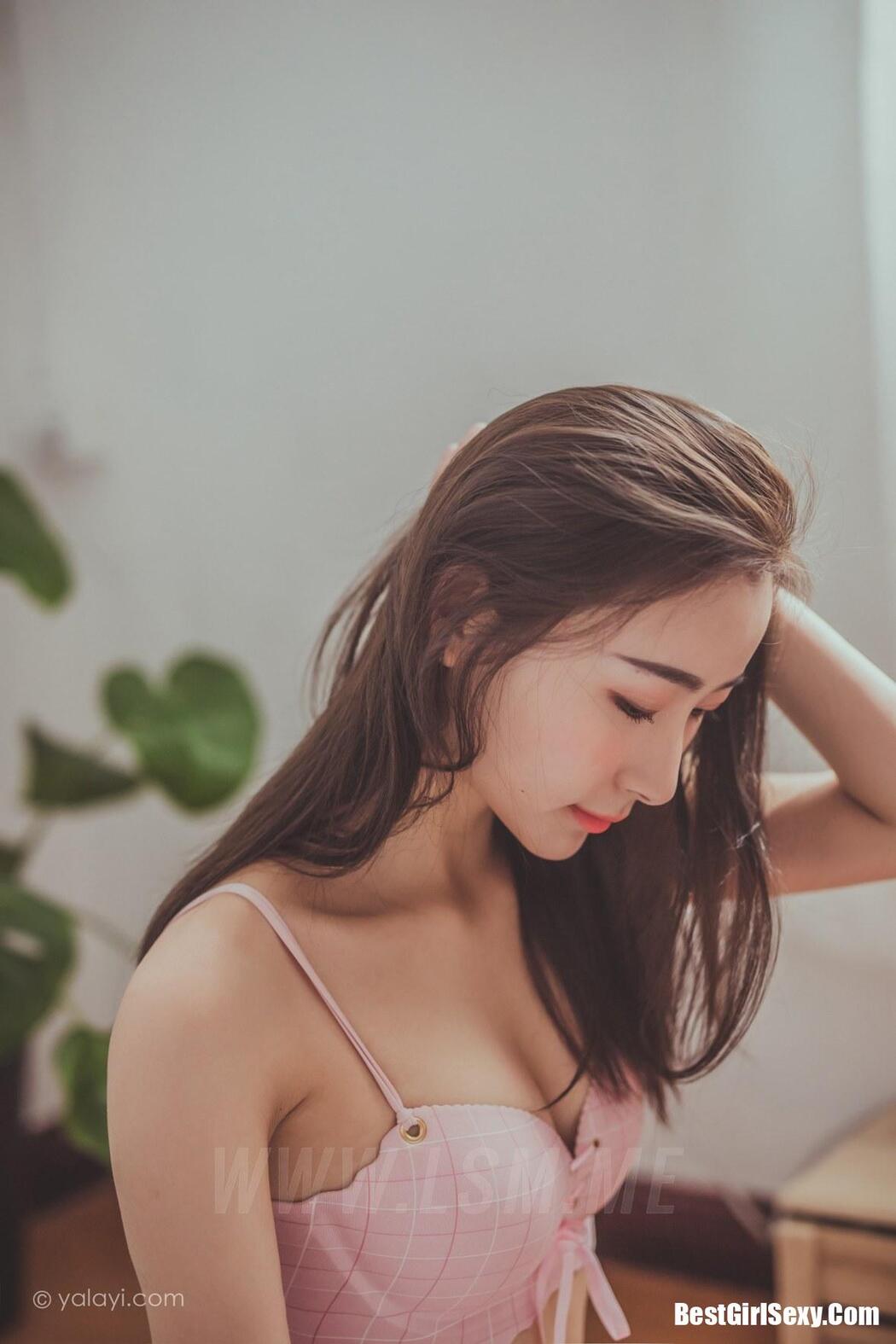 YALAYI Vol.664 Begonia Let’s Get Together