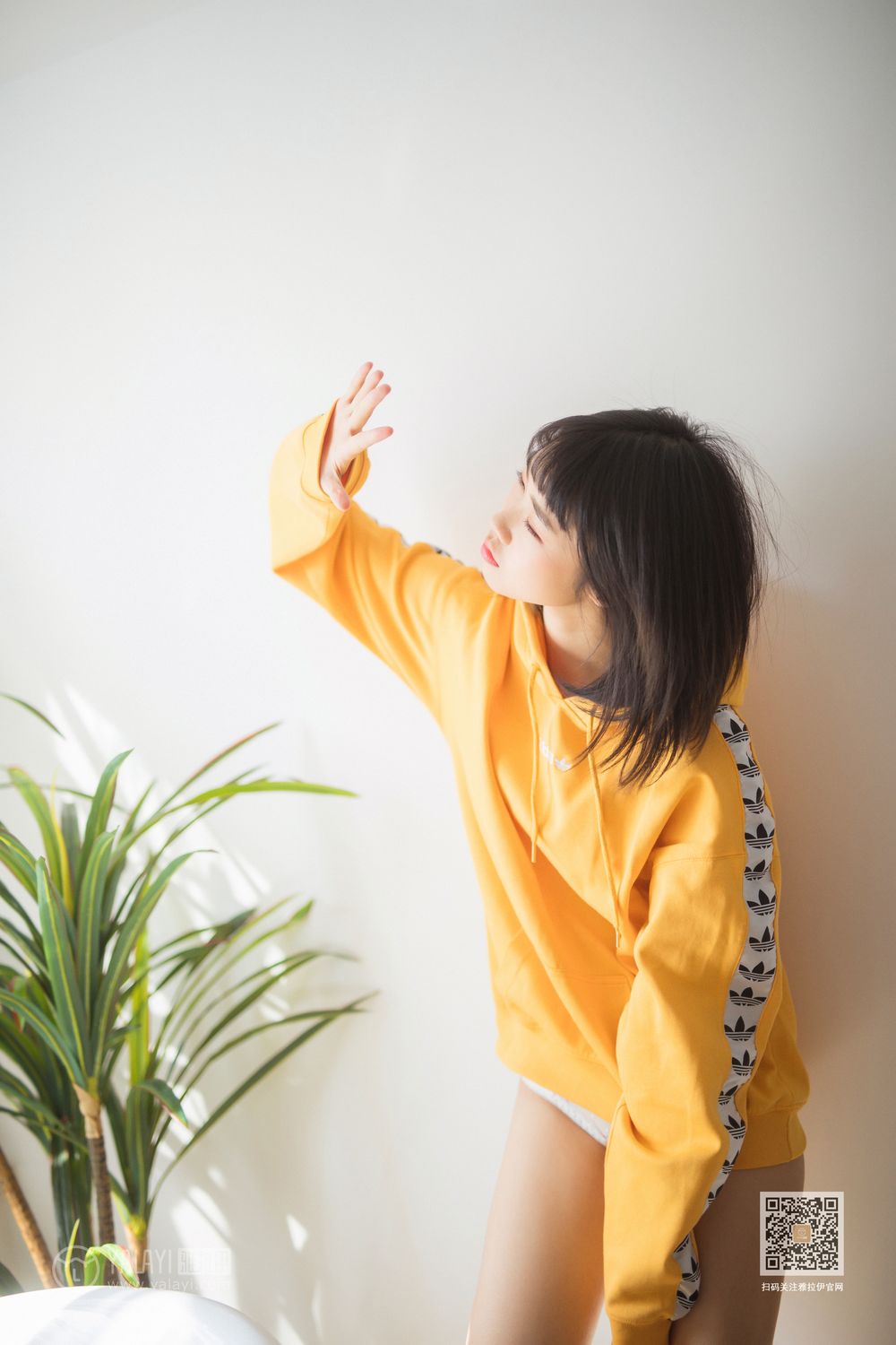 YALAYI Vol.526 Colorful Time