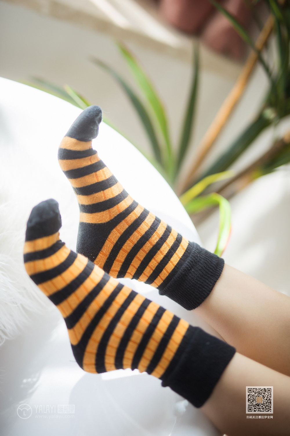 YALAYI Vol.526 Colorful Time