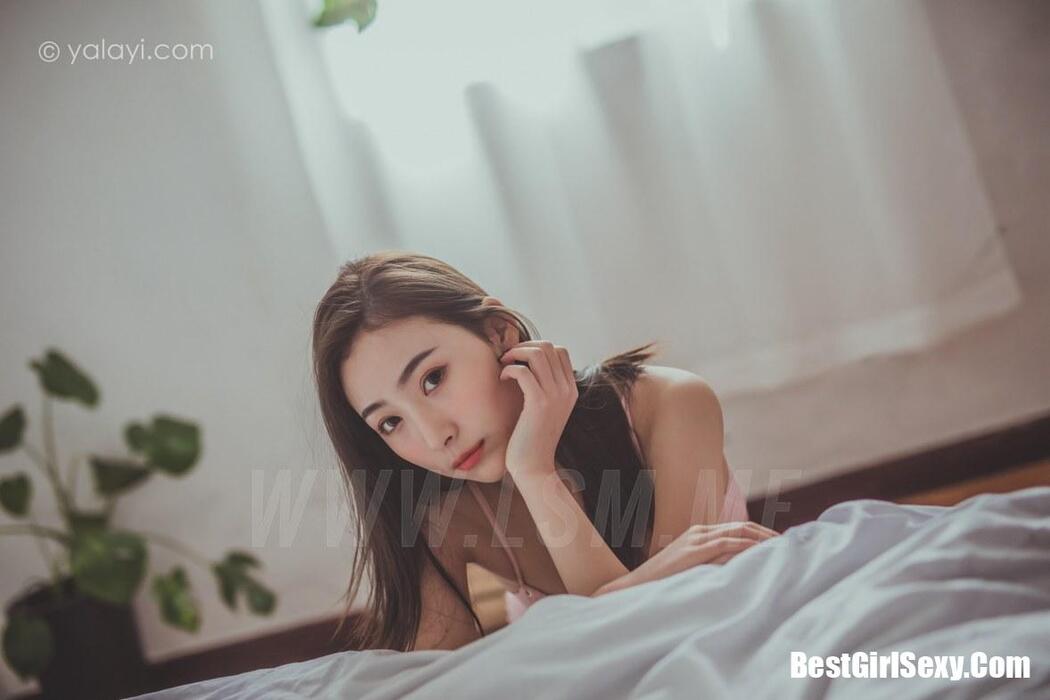 YALAYI Vol.664 Begonia Let’s Get Together