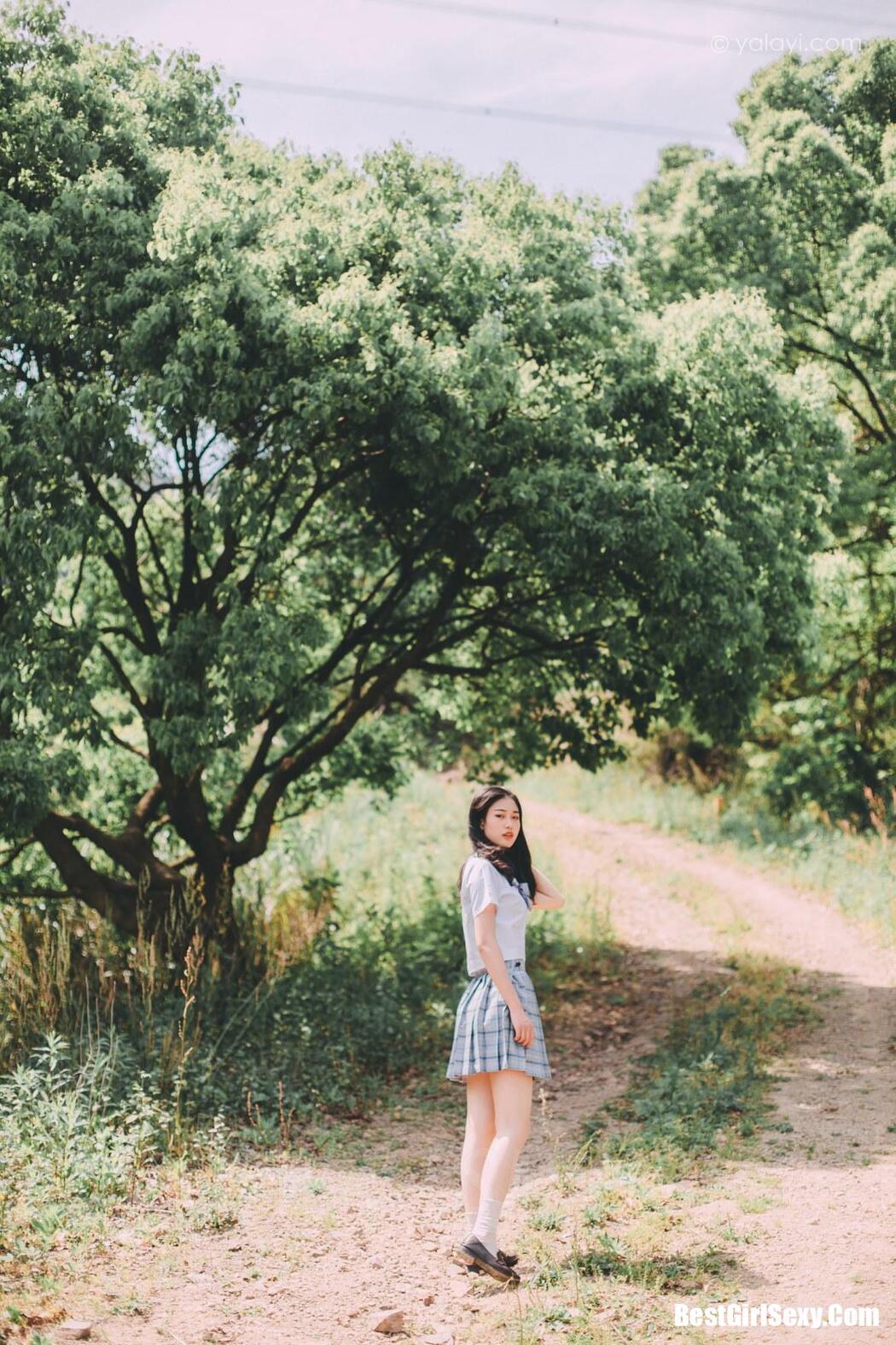 YALAYI Vol.663 Japanese wind ripple