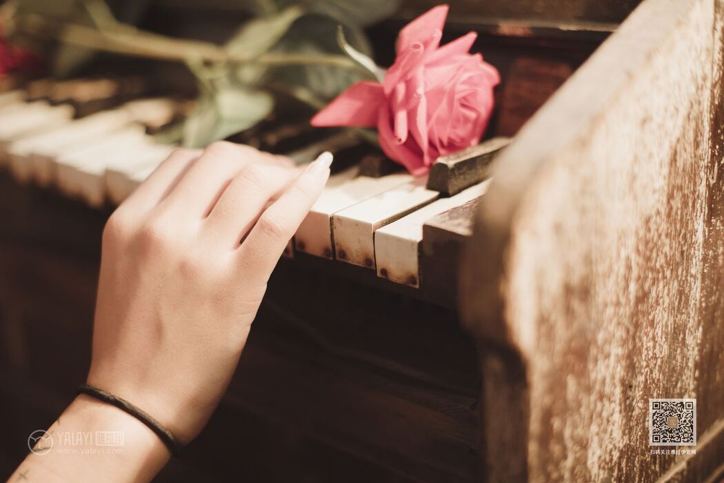 YALAYI Vol.519 Rose in Green