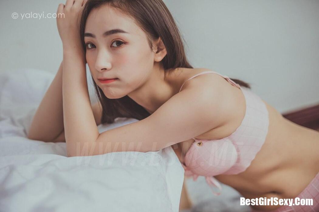 YALAYI Vol.664 Begonia Let’s Get Together