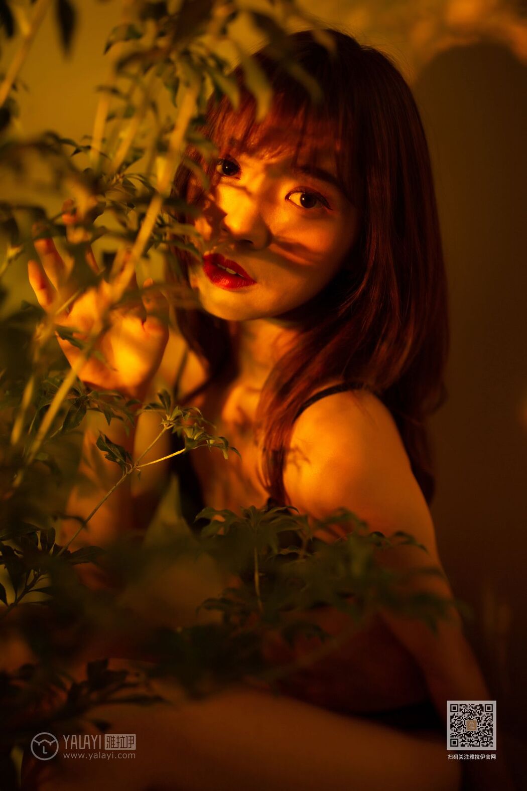 YaLaYi雅拉伊 Vol.511 Li Ya