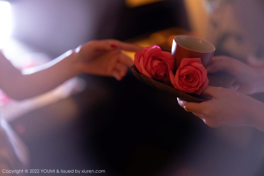 YouMi尤蜜荟 Vol.816 Nai Ping Tu Fei Yuan Ai Cuo Chou Hei Qiong