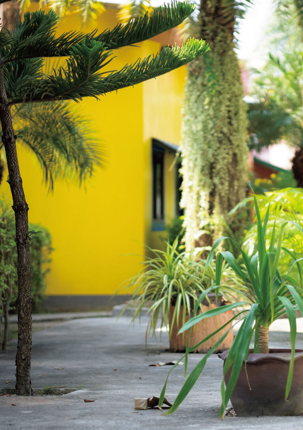 JP Kuno Hinano 九野ひなの &#8211; 写真集 mellow LUCKMAN And 九野ひなの (81P)