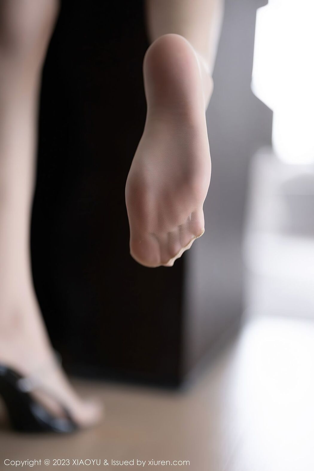 XiaoYu语画界 Vol.1013 Lin Xing Lan