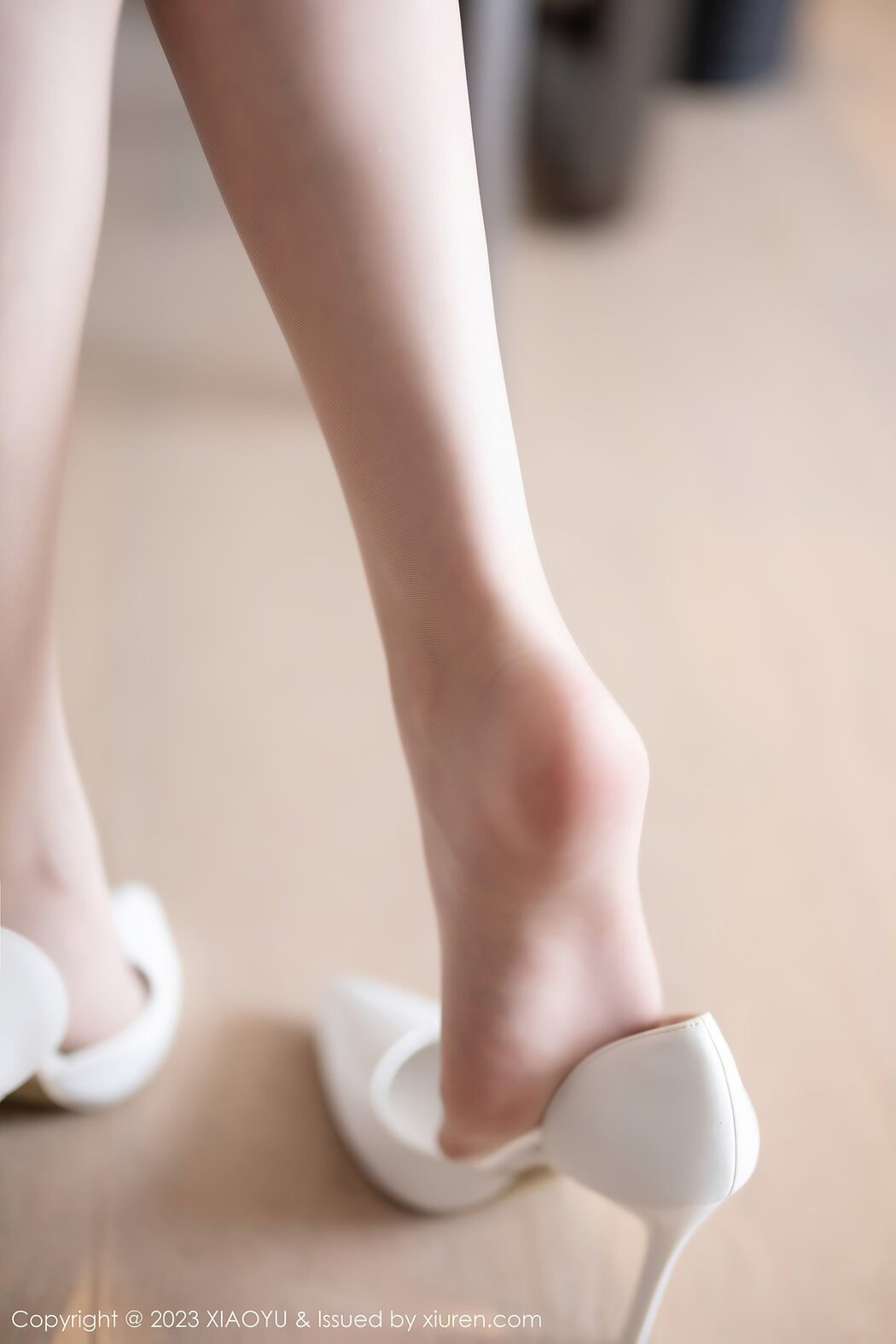 XiaoYu语画界 Vol.1034 Lin Xing Lan