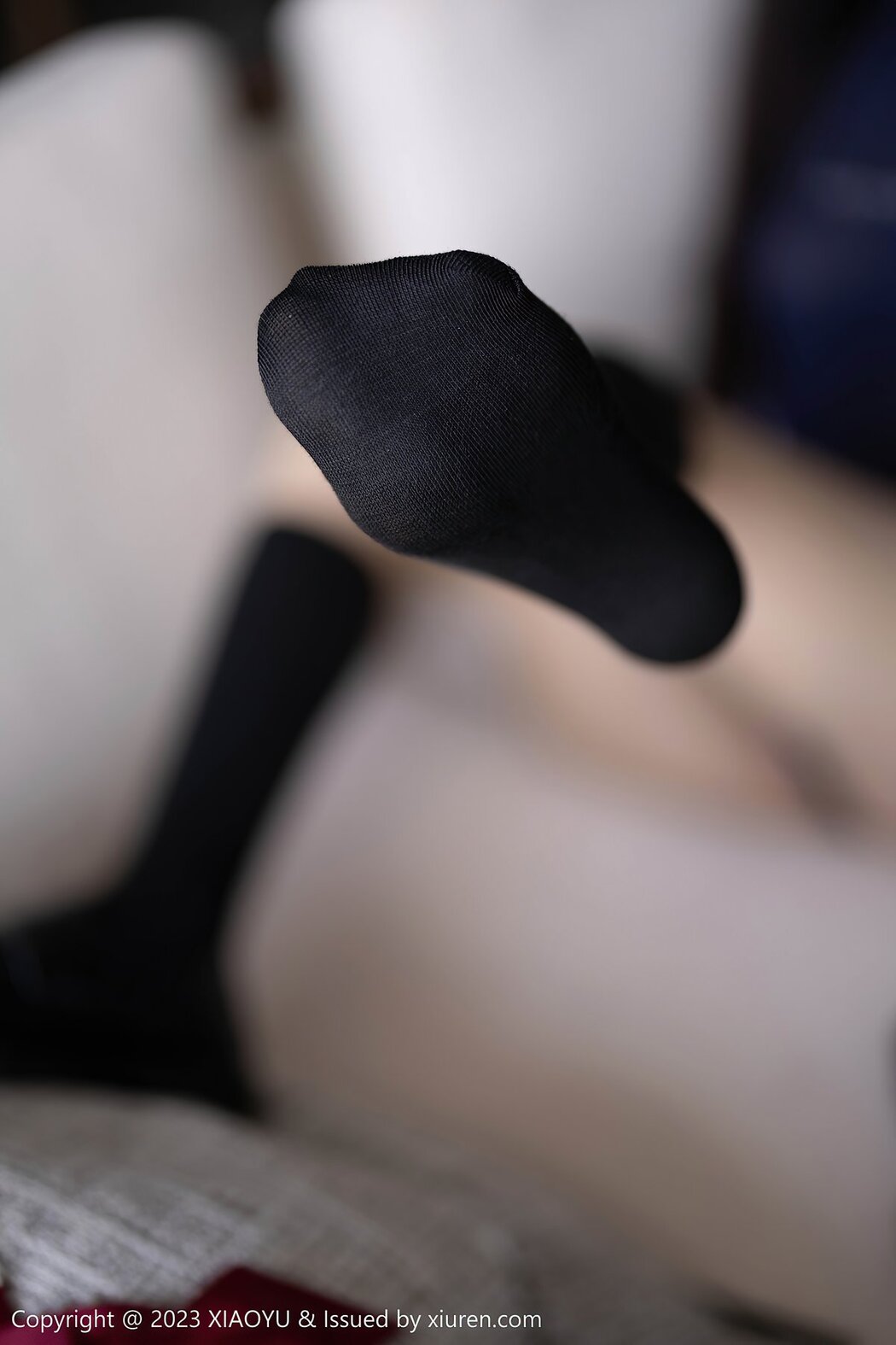 XiaoYu语画界 Vol.1045 Lin Xing Lan