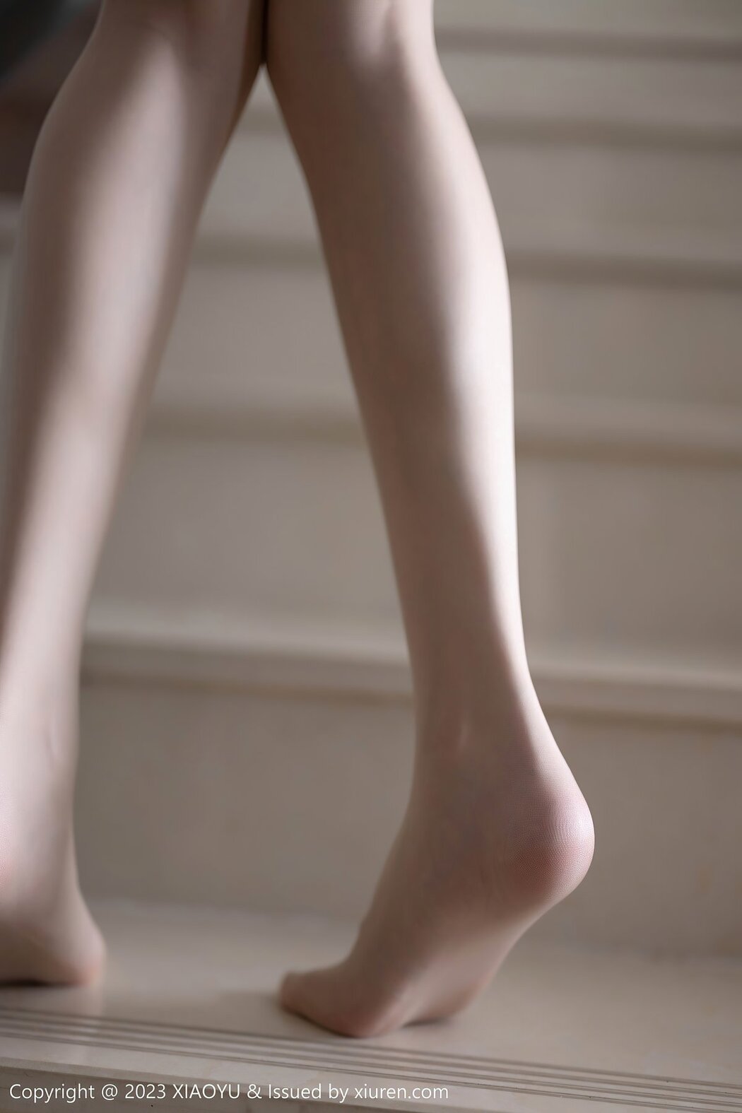 XiaoYu语画界 Vol.1045 Lin Xing Lan