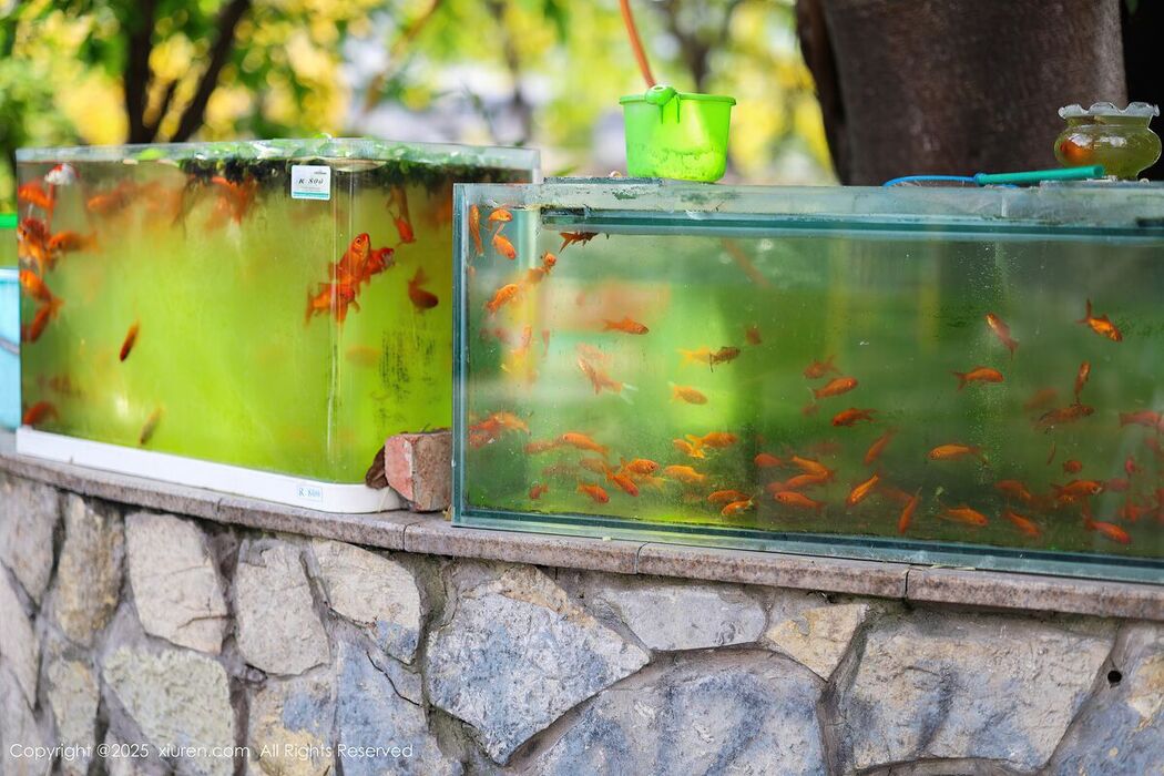 XiuRen秀人网 No.10247 Kiko Mogi (81P)