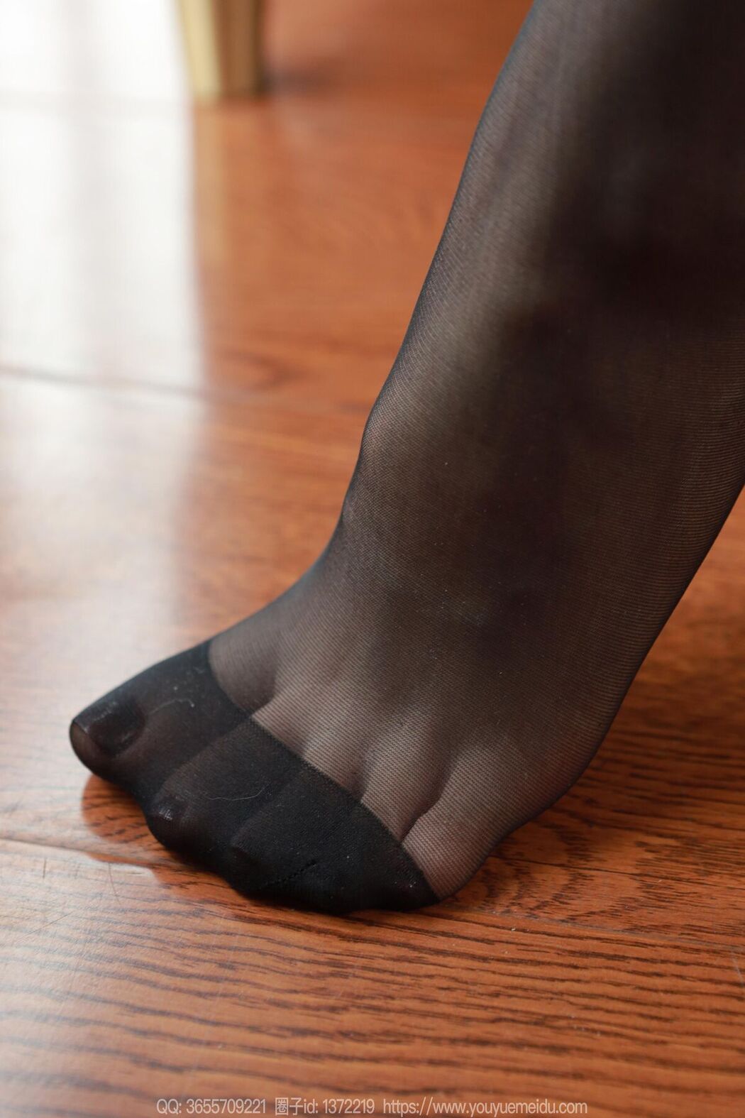 IESS异思趣向 SXJ No.1979 团团 (97P)