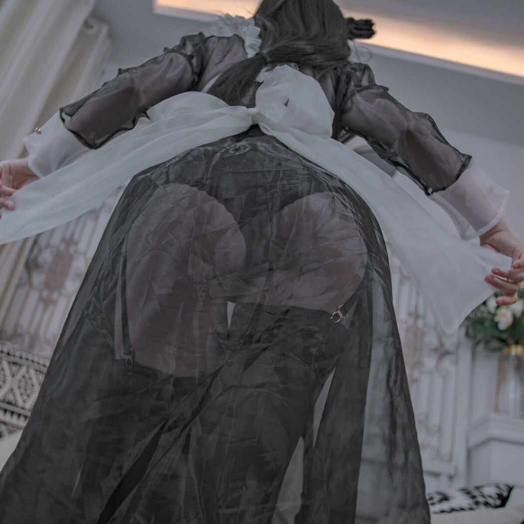 Coser@起司块wii – 会长是女仆大人 (45P)