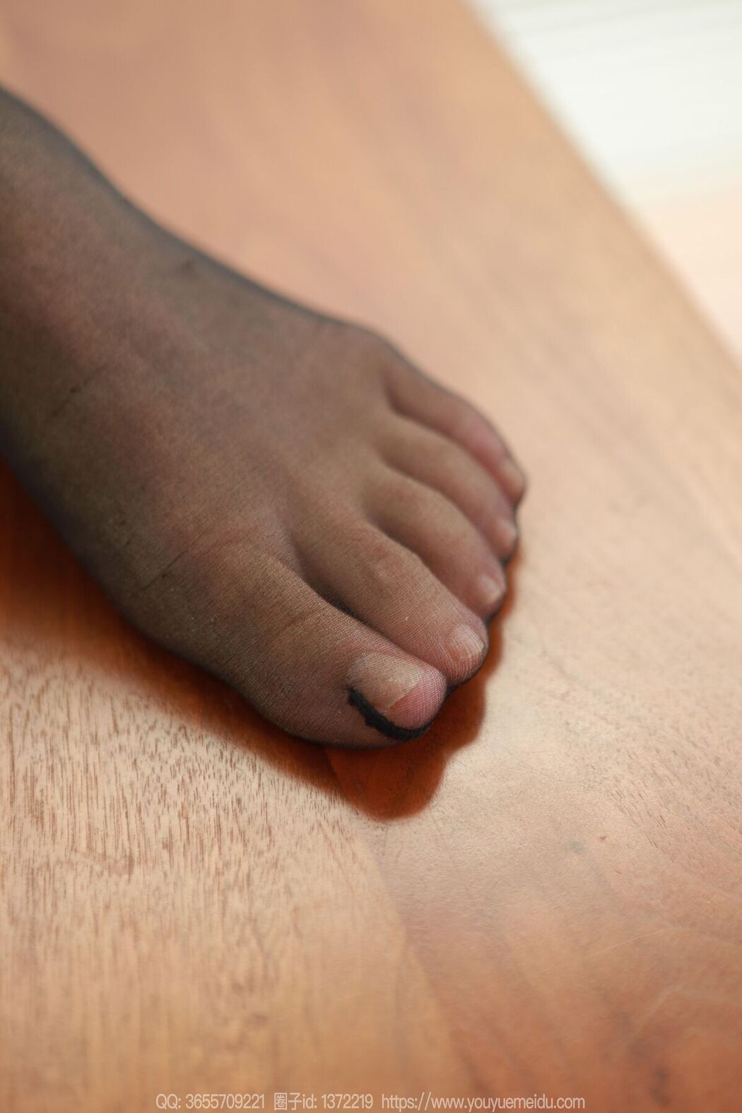 IESS异思趣向 SXJ No.1980 小金 (91P)