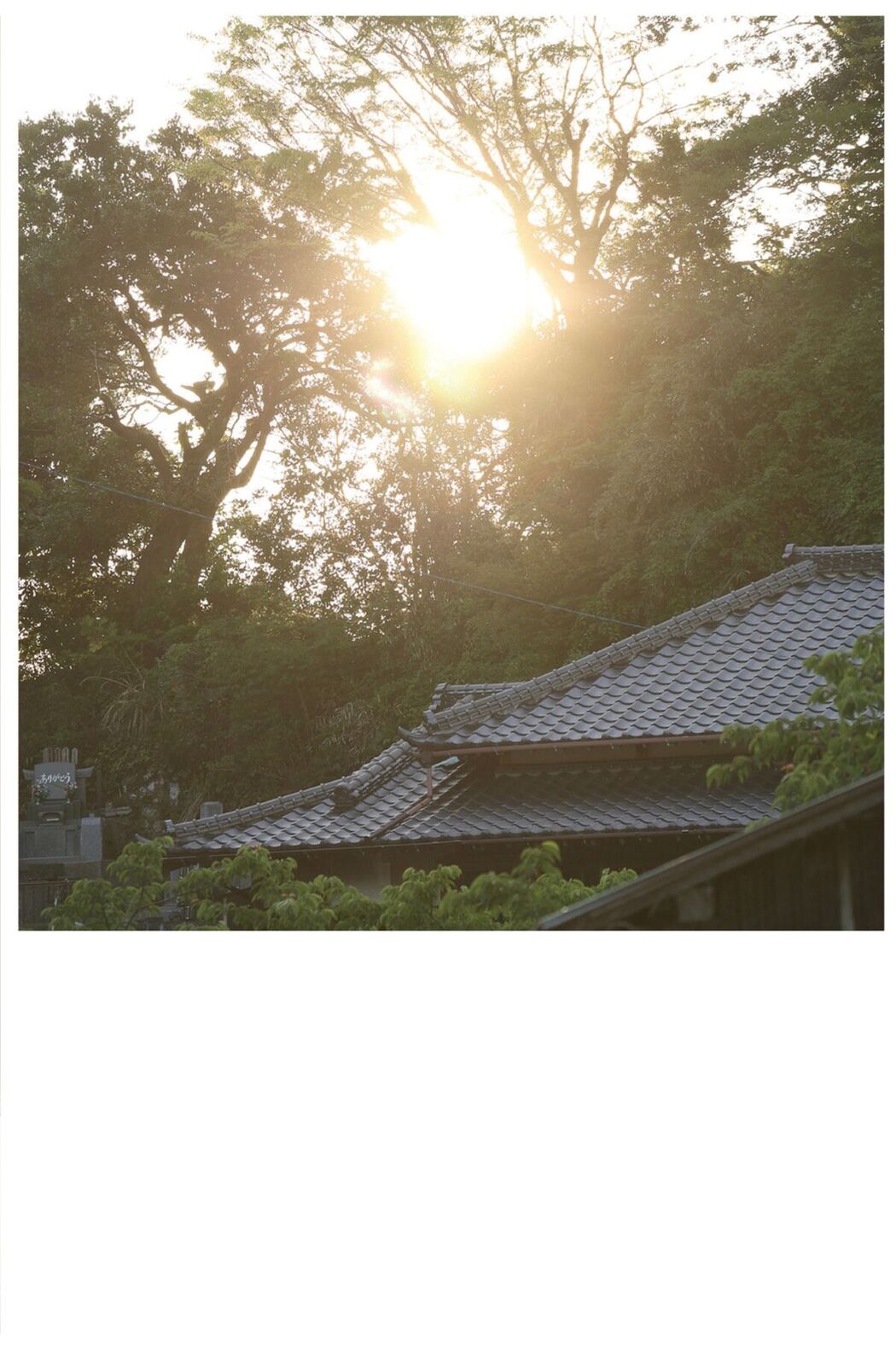 JP Narumi Hirose 広瀬なるみ – ヌード写真集 風に包まれて Part03 (51P)