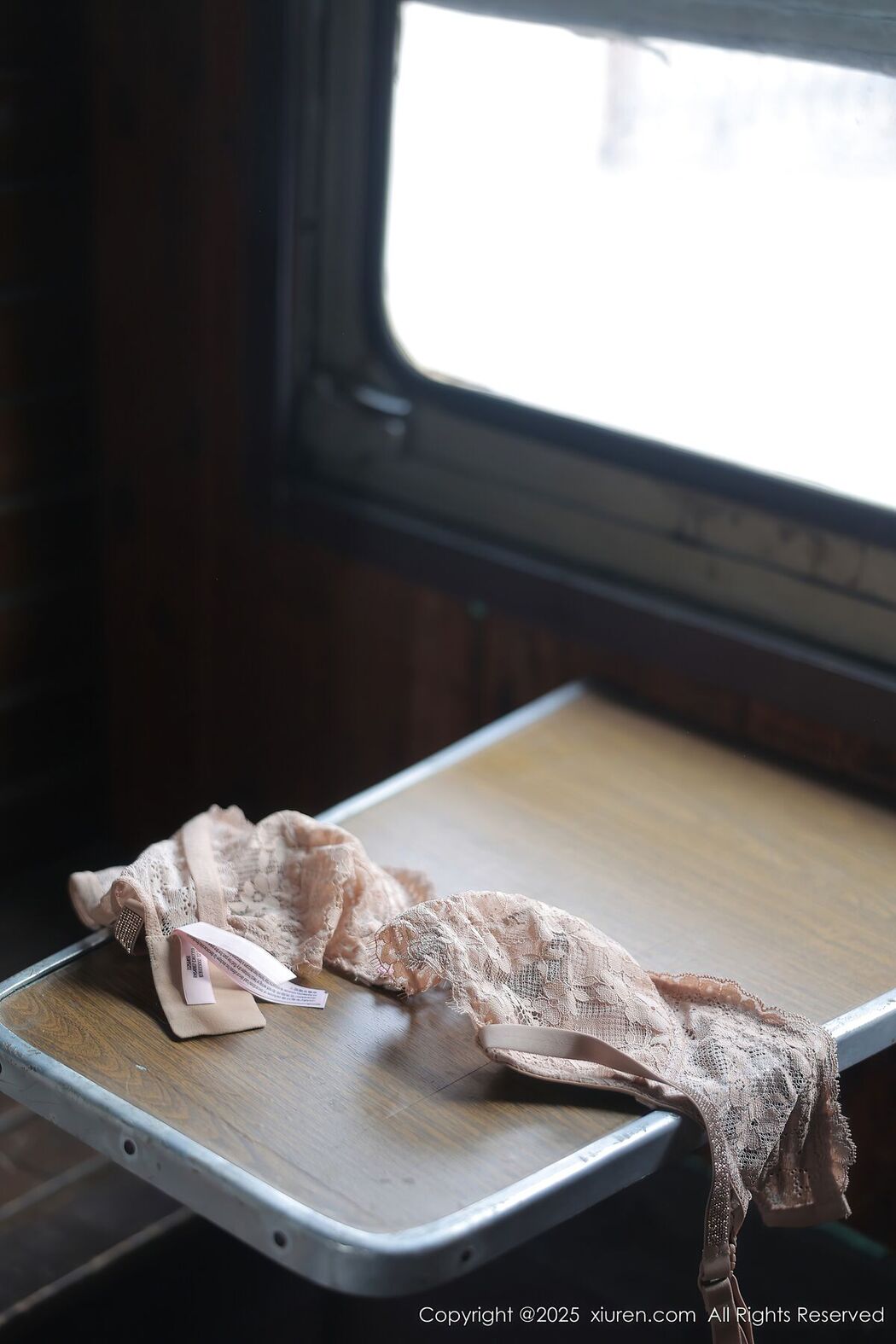 XiuRen秀人网 No.10269 Lin Ruo Fan F (72P)