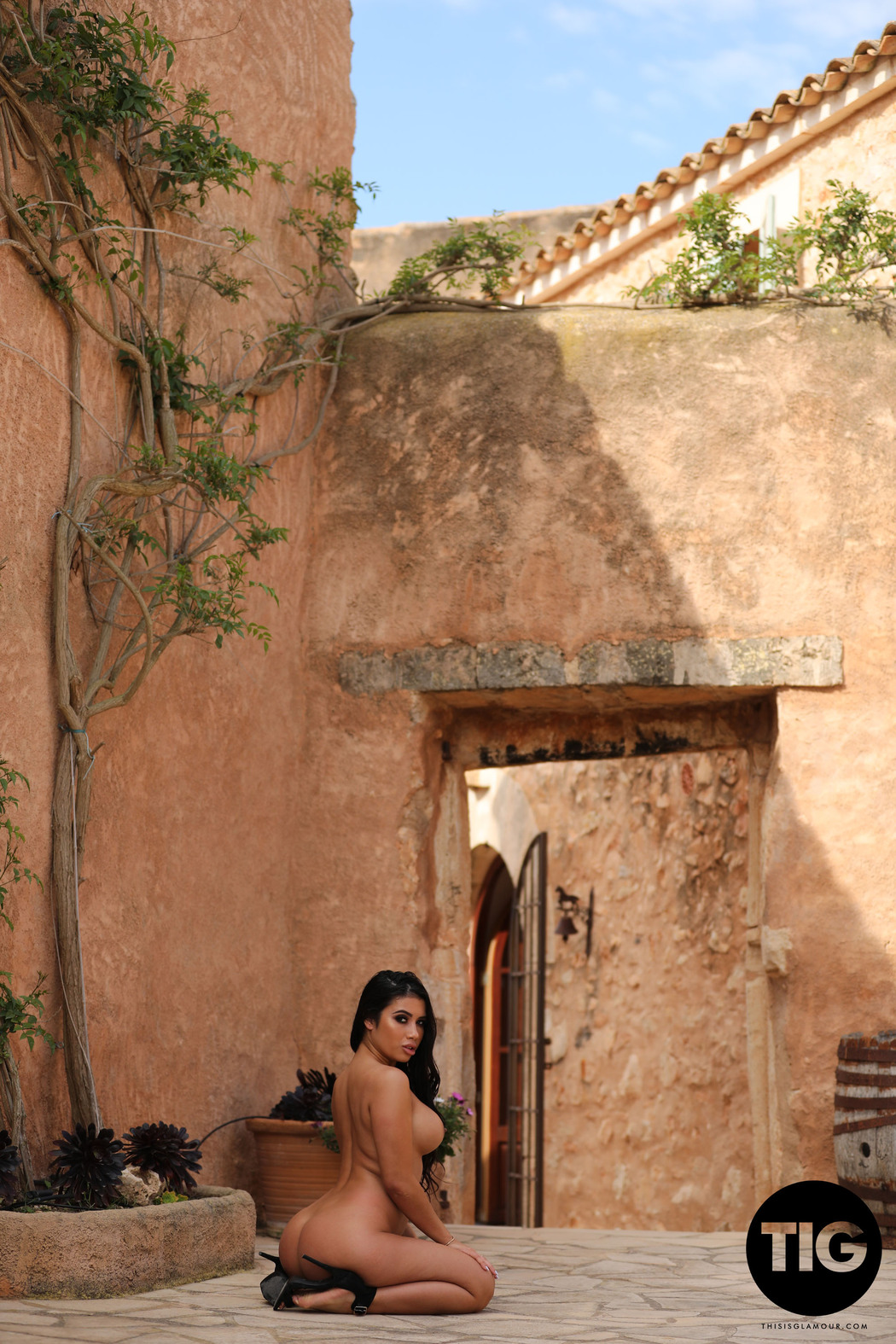 Naked Beauty Nicole Snow