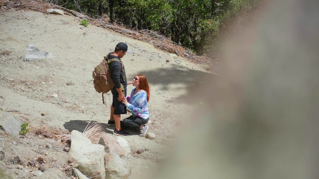 Pepper Hart Natural Habitats Cover Photo