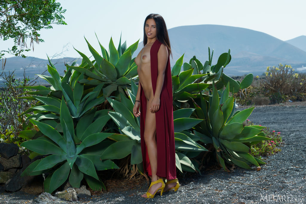 Sexy Sherezade Parts Her Thighs To Reveal The Neat Bush