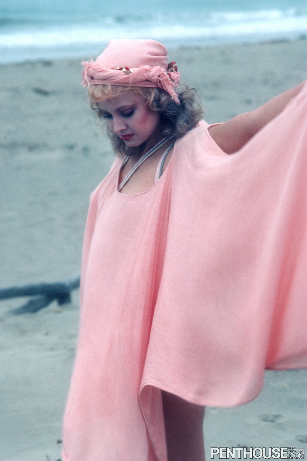 Terry The Penthouse Pet Of The Month November, 1981