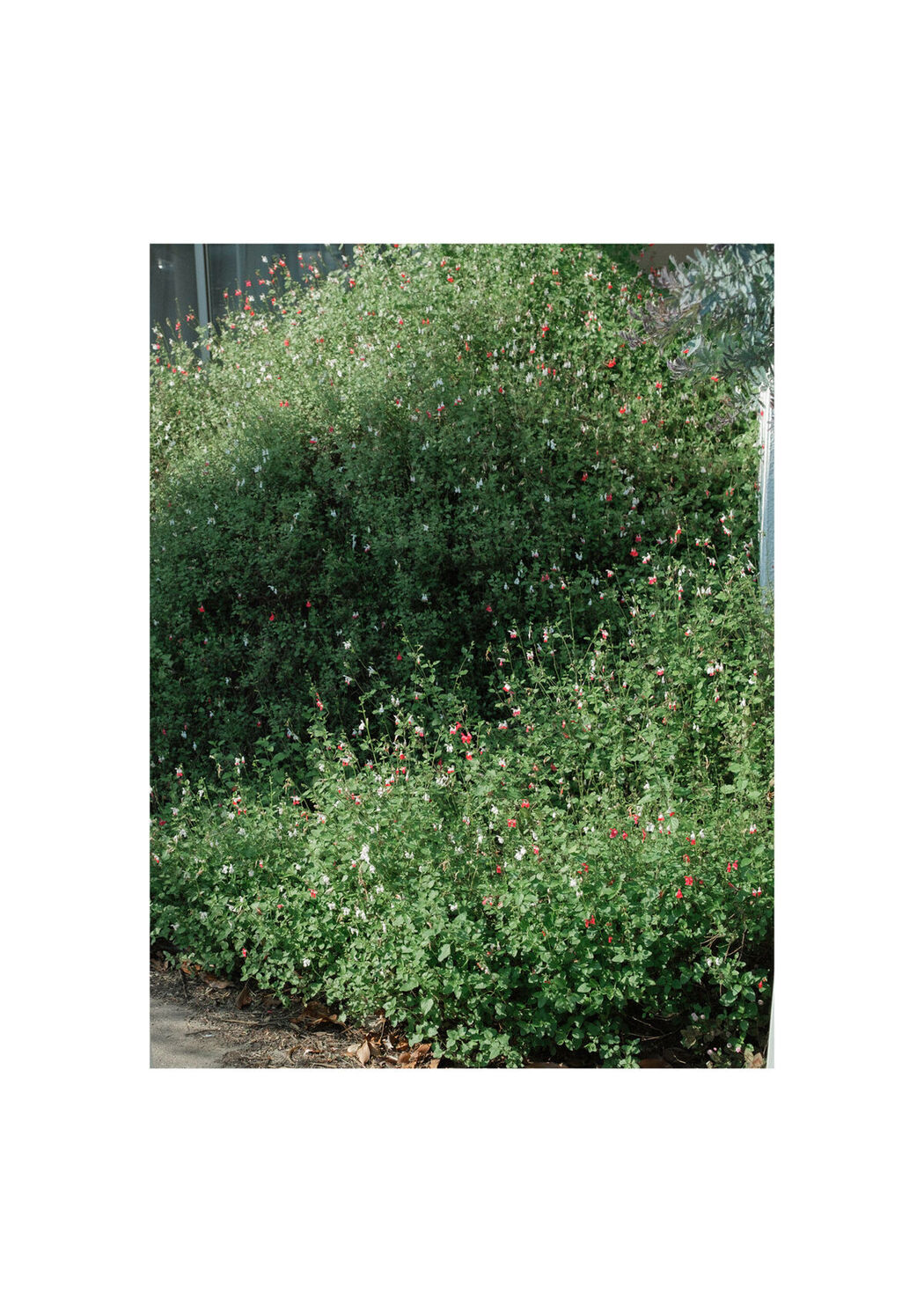 JP Mio Ishikawa 石川澪 &#8211; とられち Part03 (59P)