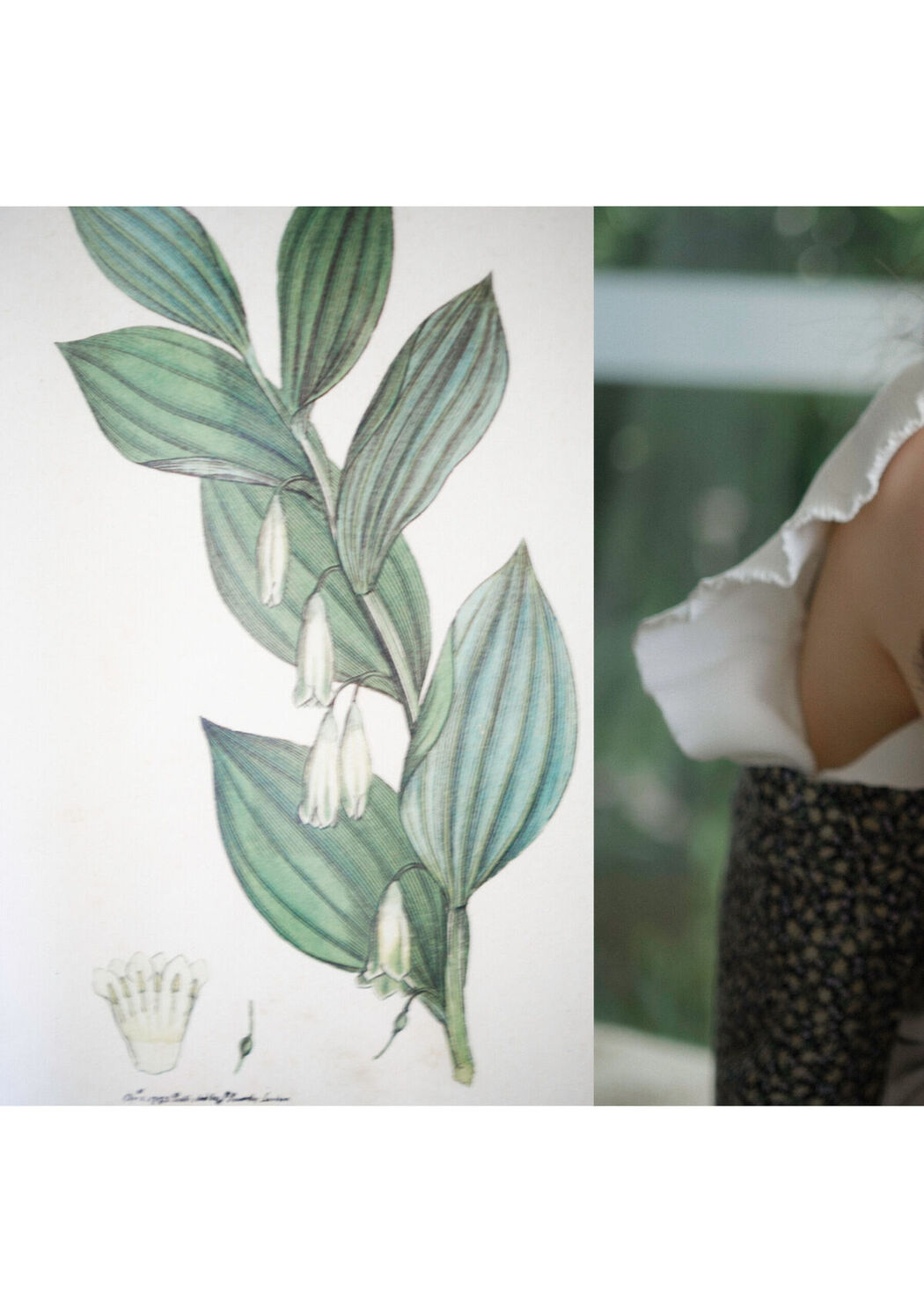 JP Mio Ishikawa 石川澪 &#8211; とられち Part02 (59P)