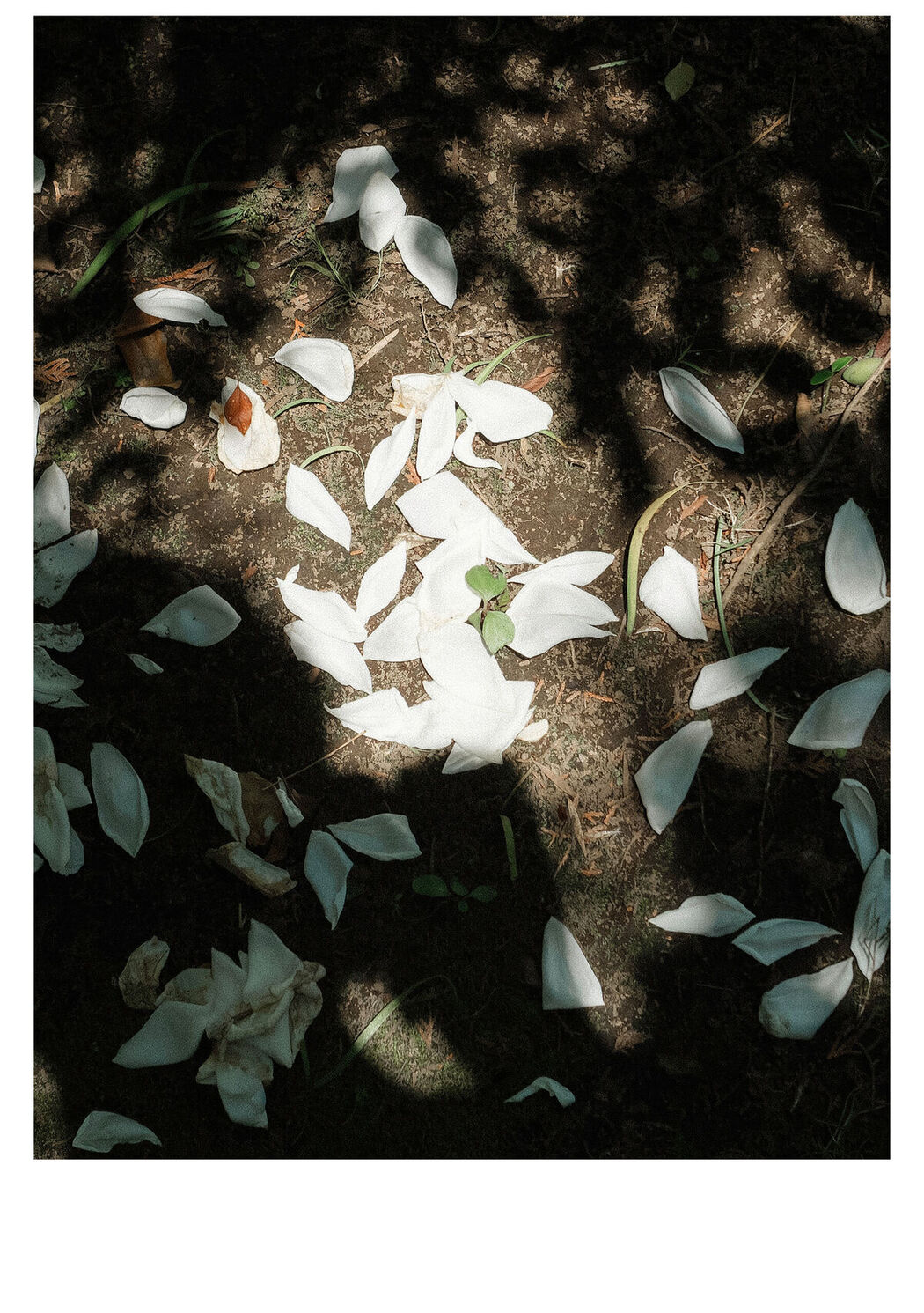 JP Mio Ishikawa 石川澪 &#8211; とられち Part01 (60P)