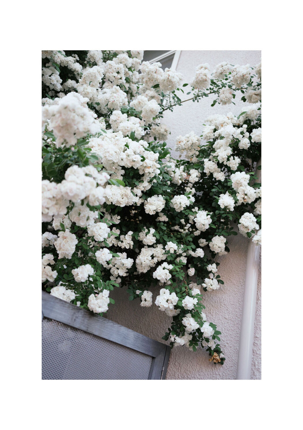 JP Mio Ishikawa 石川澪 &#8211; とられち Part01 (60P)