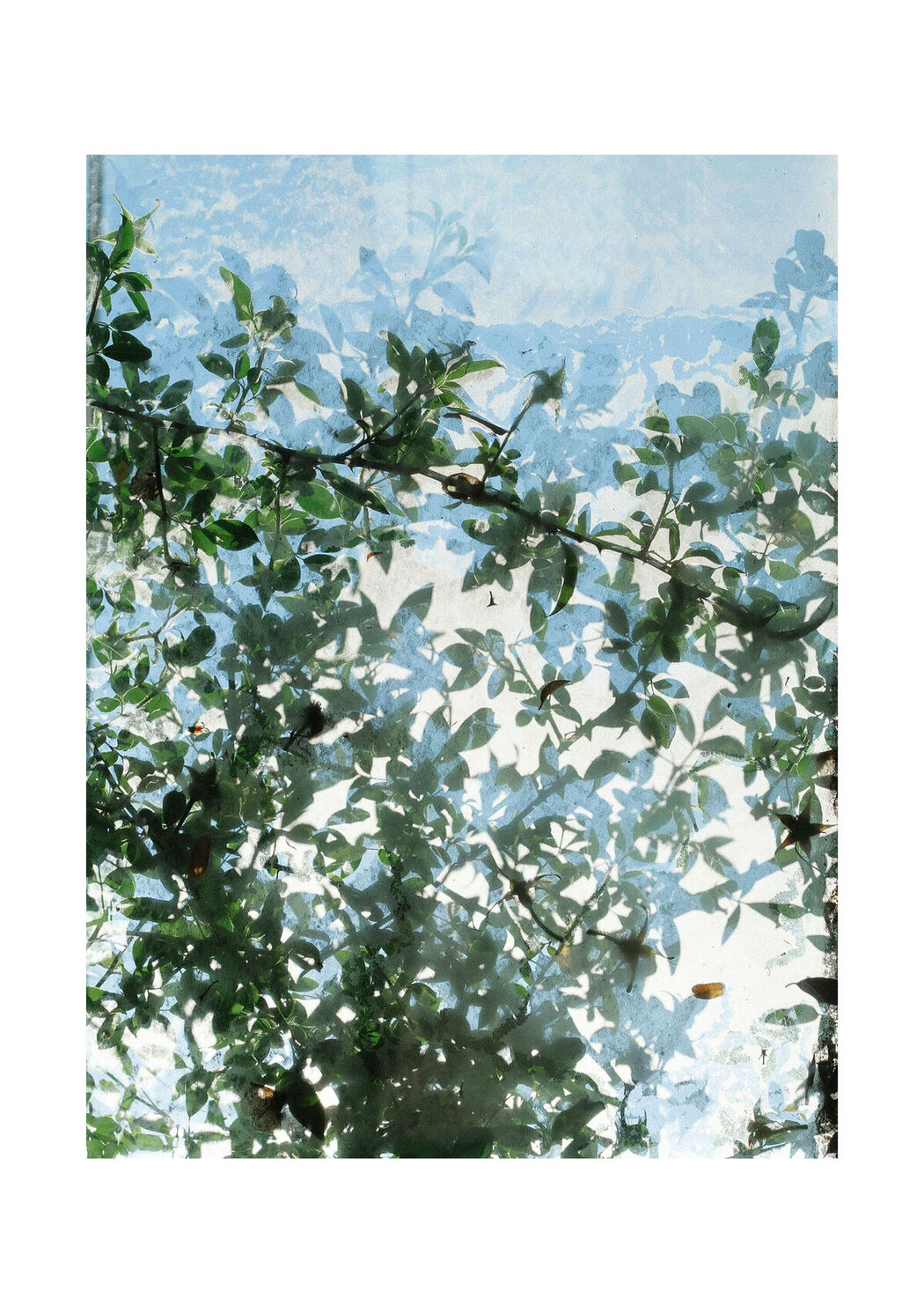 JP Mio Ishikawa 石川澪 &#8211; とられち Part01 (60P)