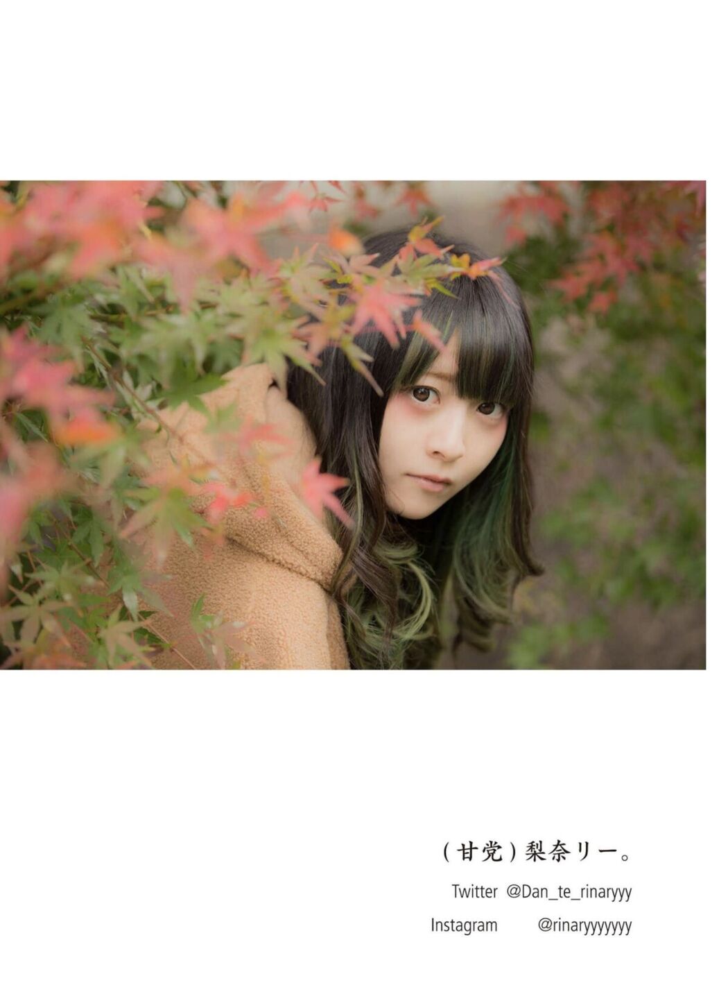 JP Nitori Sayaka 似鳥沙也加 – moregraphy モアグラフィ デジタル写真集 向日葵 森杏奈 ほか Part01 (57P)