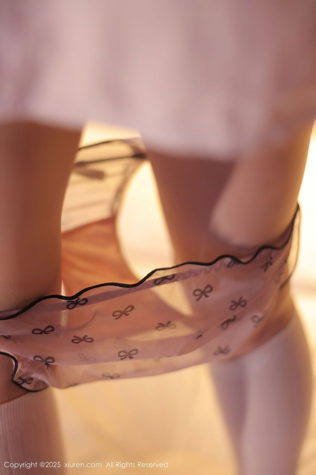 XiuRen秀人网 No.10335 Ruan Qing (65P)