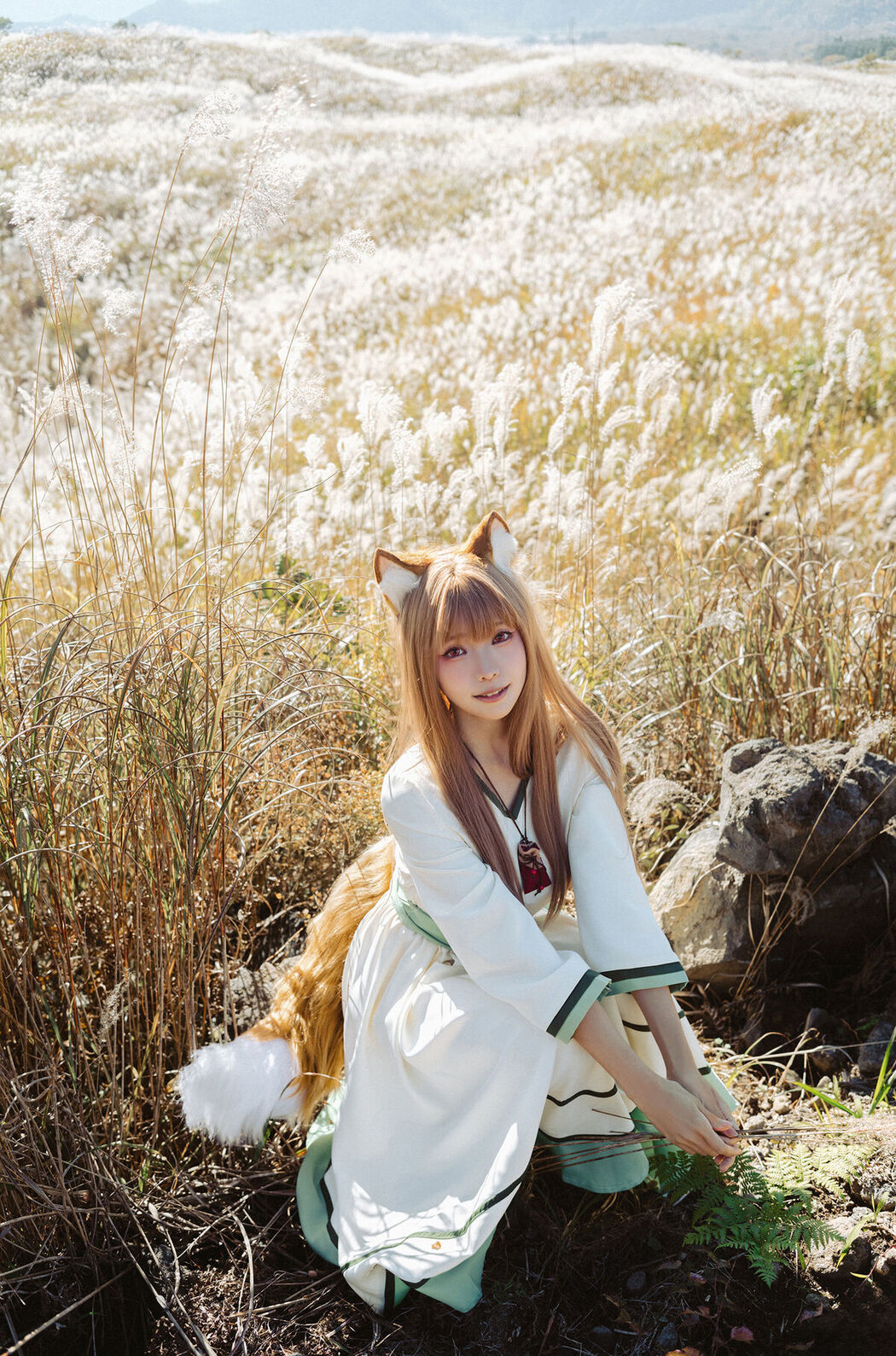 Coser@Ely_eee ElyEE子 &#8211; Breeze 狼與微風 (35P &#8211; 3V)