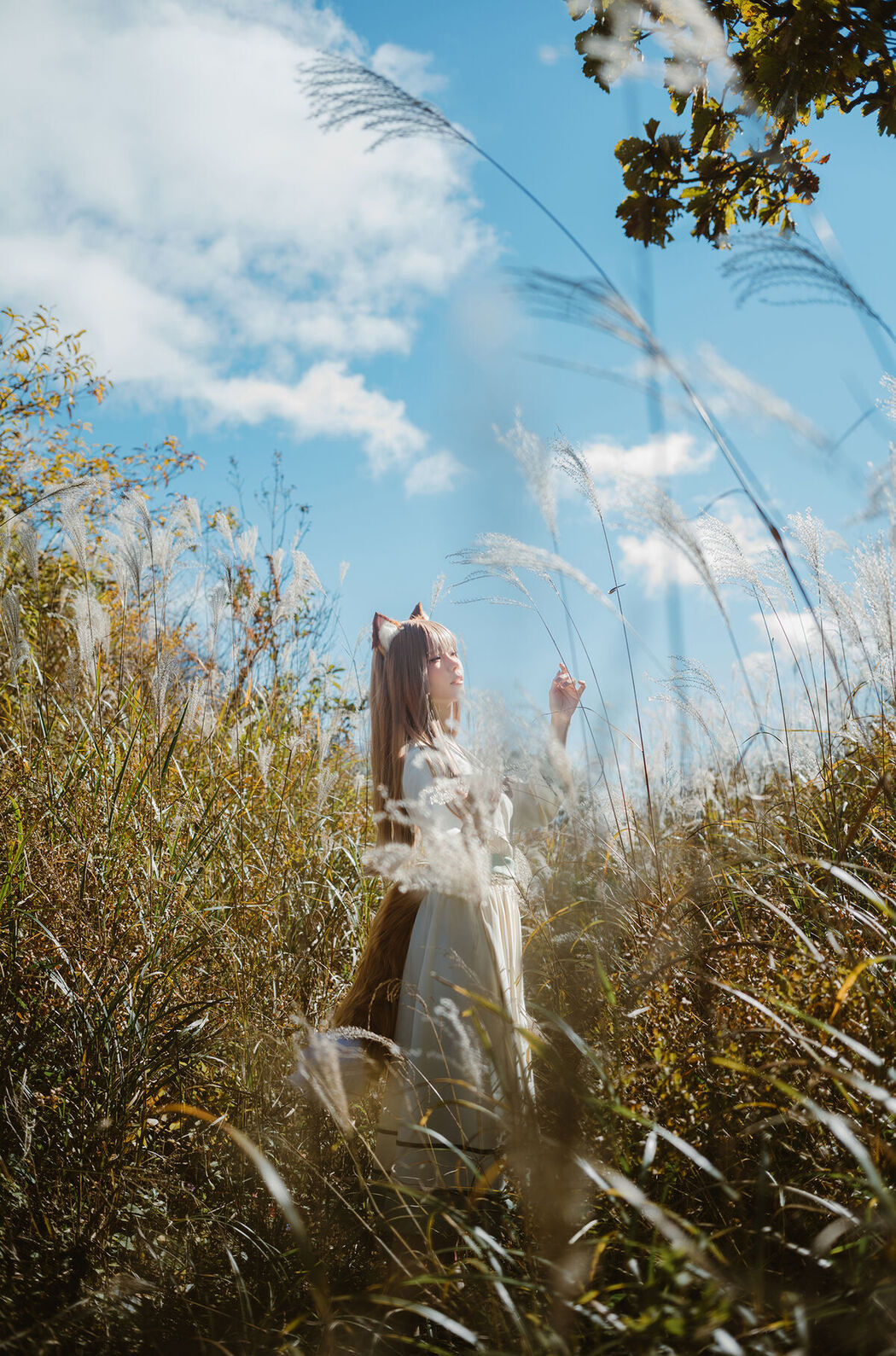 Coser@Ely_eee ElyEE子 &#8211; Breeze 狼與微風 (35P &#8211; 3V)