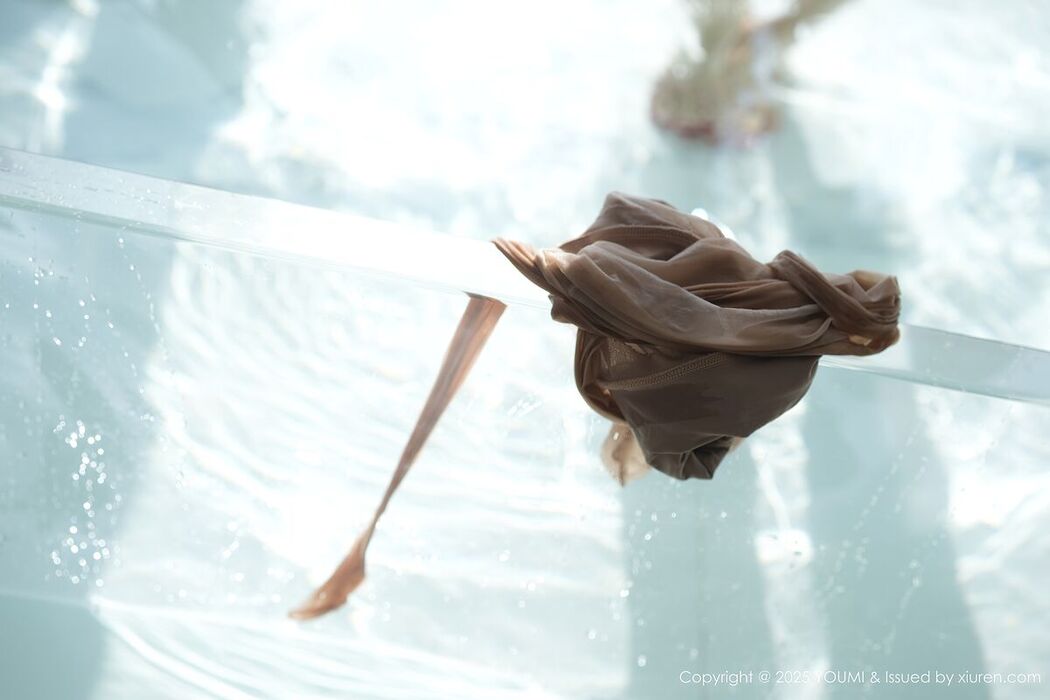 YouMi尤蜜荟 Vol.1160 Li Yan Xi (50P)