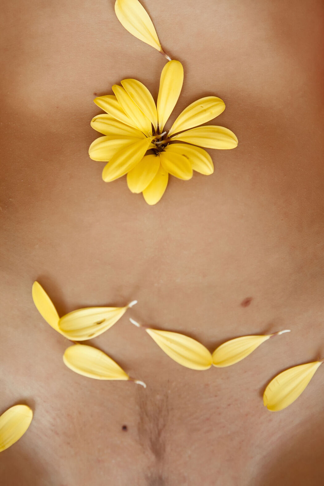 MetArt Miela A &#8211; Solis Part02 (63P)