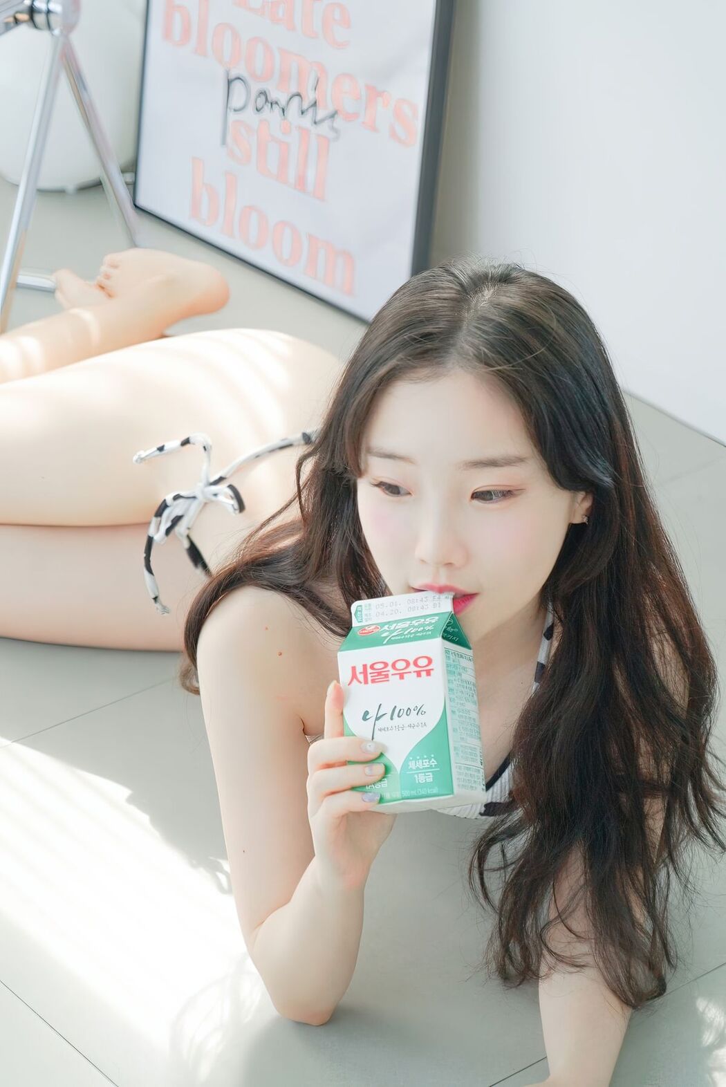 Pureding &#8211; Sexy Photobook 4 (52P &#8211; 2V)