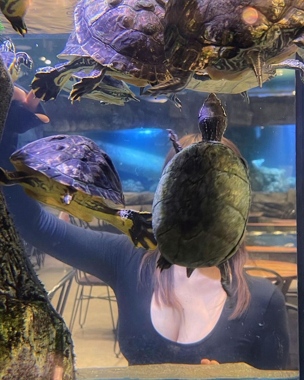 Auddk_77 명아 – 명아는 오또케 Part04 (68P)