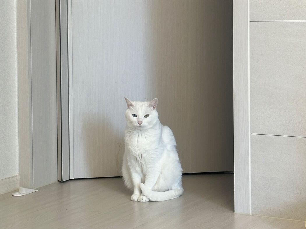 Auddk_77 명아 – 명아는 오또케 Part06 (68P)