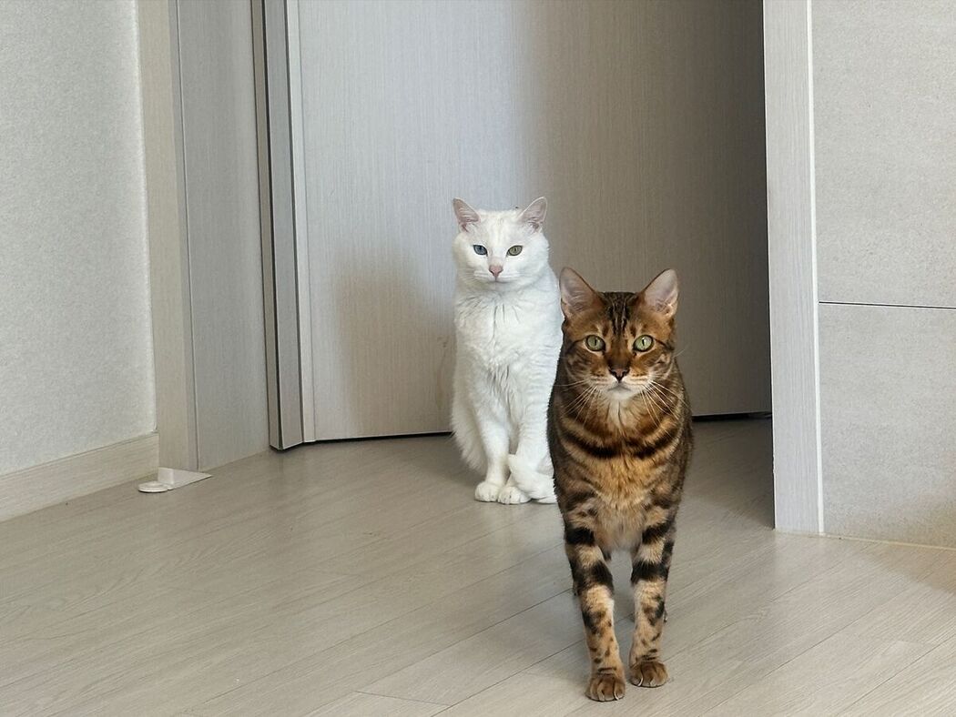 Auddk_77 명아 – 명아는 오또케 Part06 (68P)