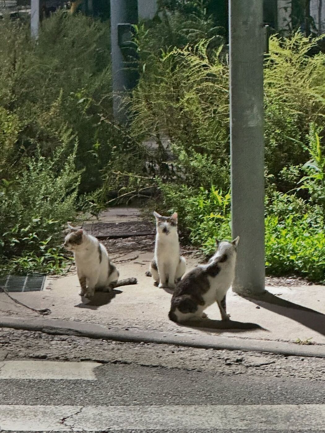 Auddk_77 명아 – 명아는 오또케 Part07 (68P)