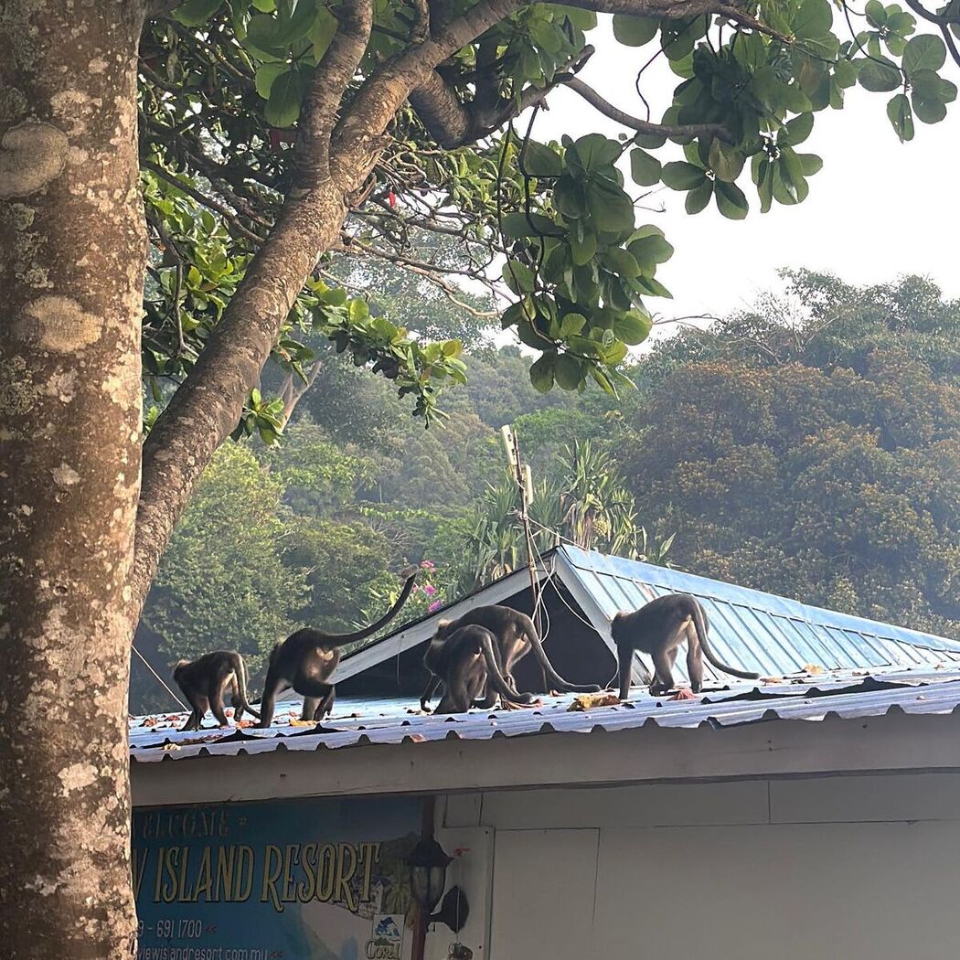 Auddk_77 명아 – 명아는 오또케 Part02 (68P)