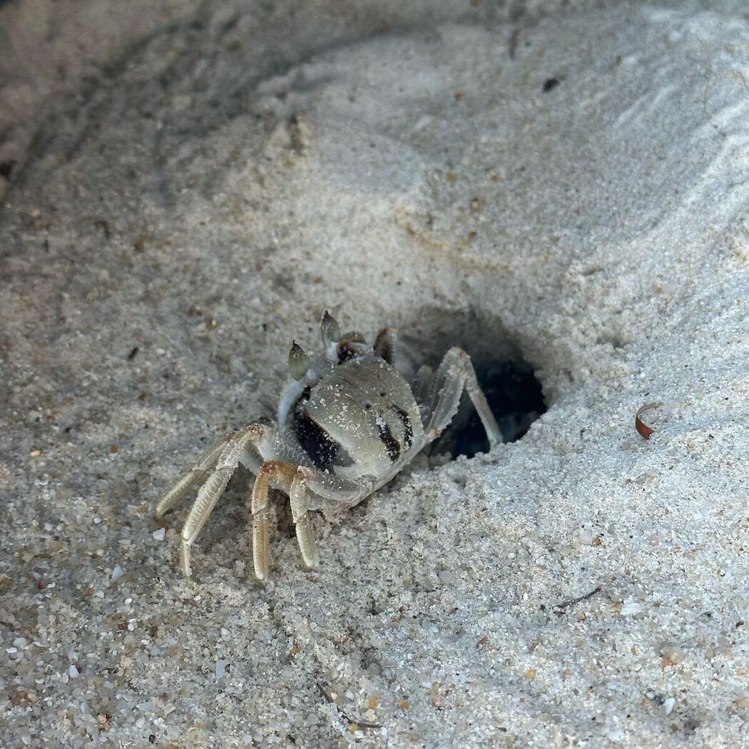 Auddk_77 명아 – 명아는 오또케 Part02 (68P)