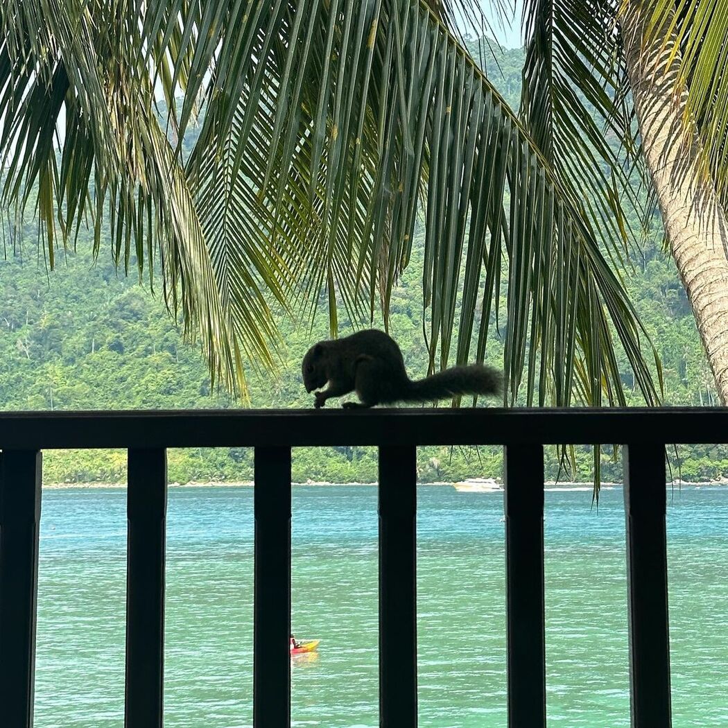 Auddk_77 명아 – 명아는 오또케 Part02 (68P)