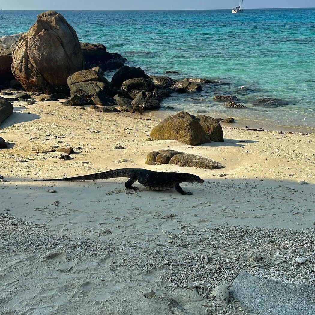 Auddk_77 명아 – 명아는 오또케 Part02 (68P)