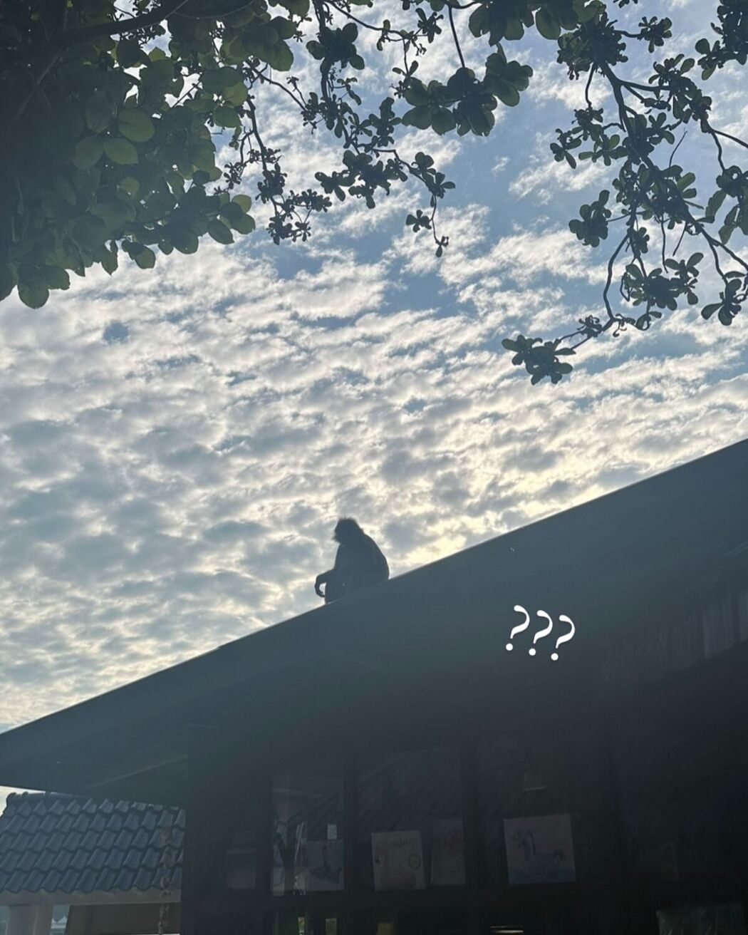 Auddk_77 명아 – 명아는 오또케 Part04 (68P)