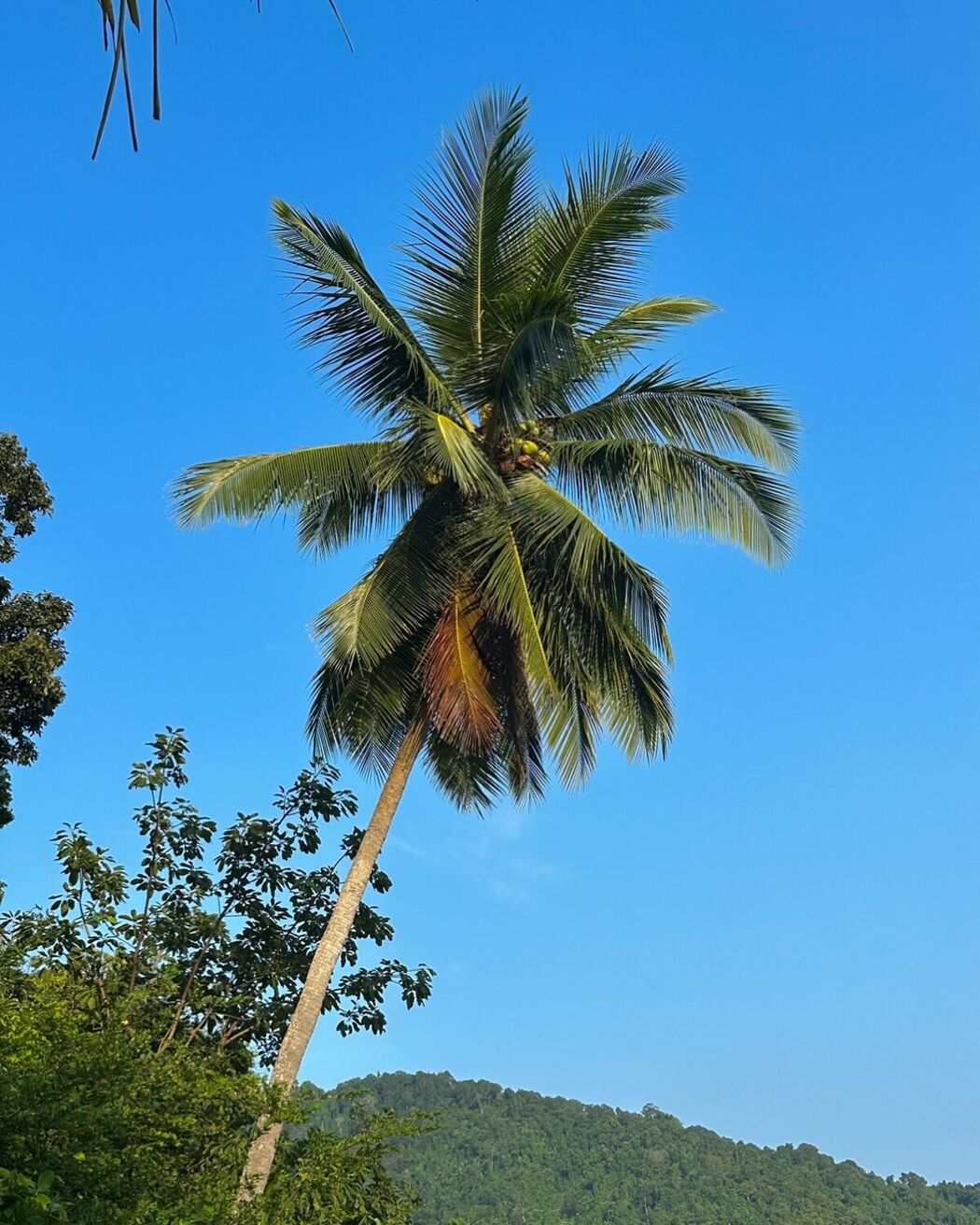 Auddk_77 명아 – 명아는 오또케 Part05 (68P)